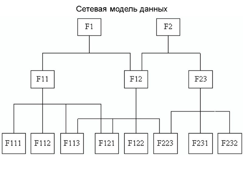 Сетевая модель данных